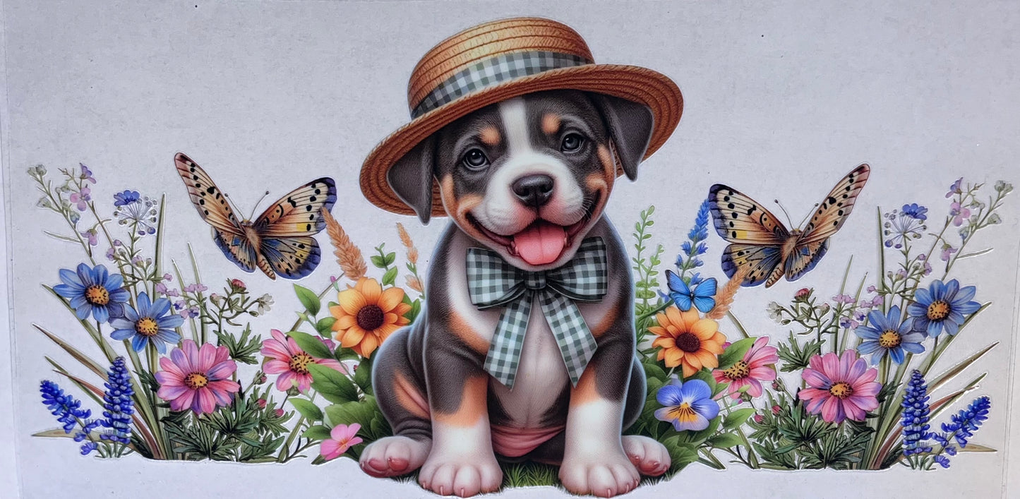 Animal wraps
