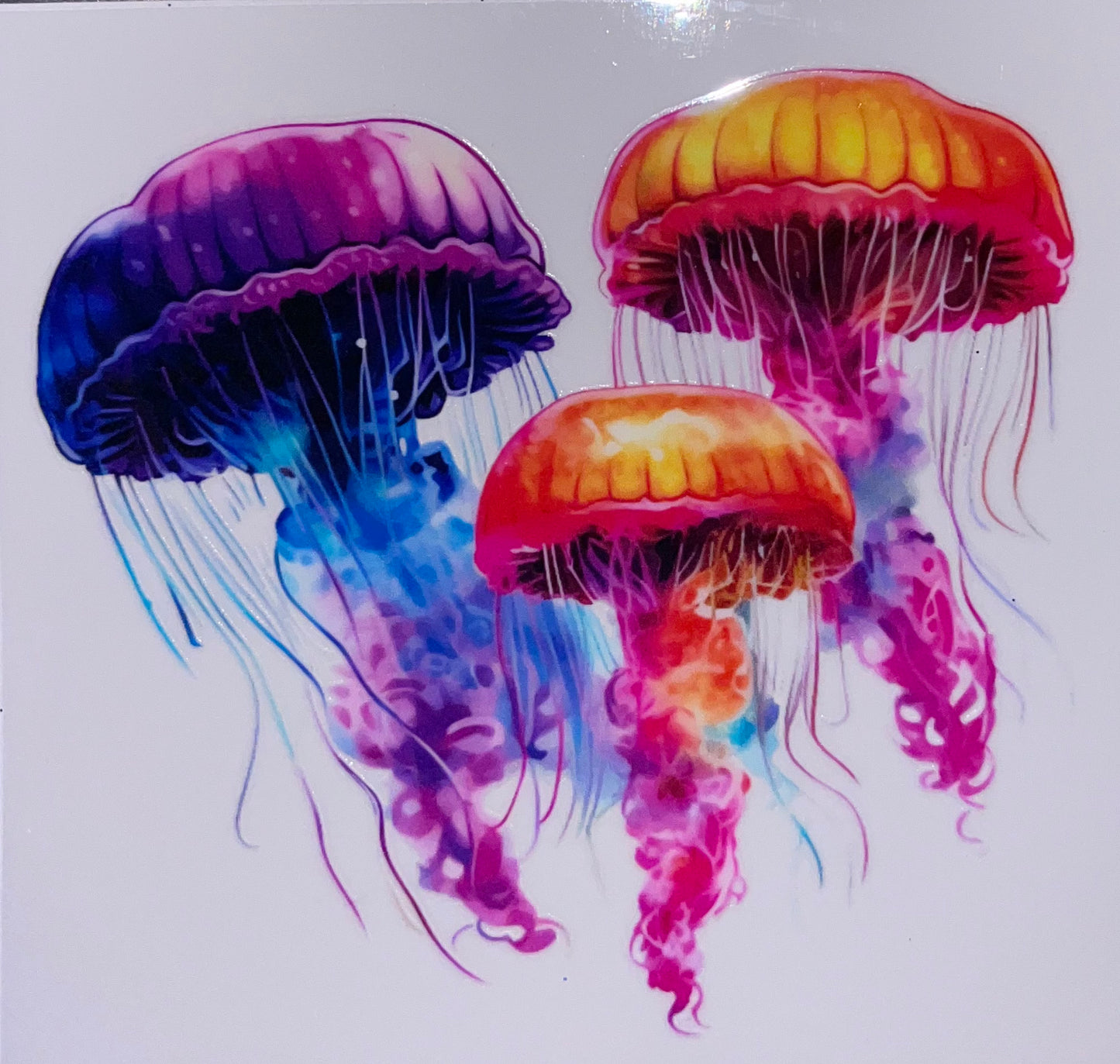 Animal and Nature Decals